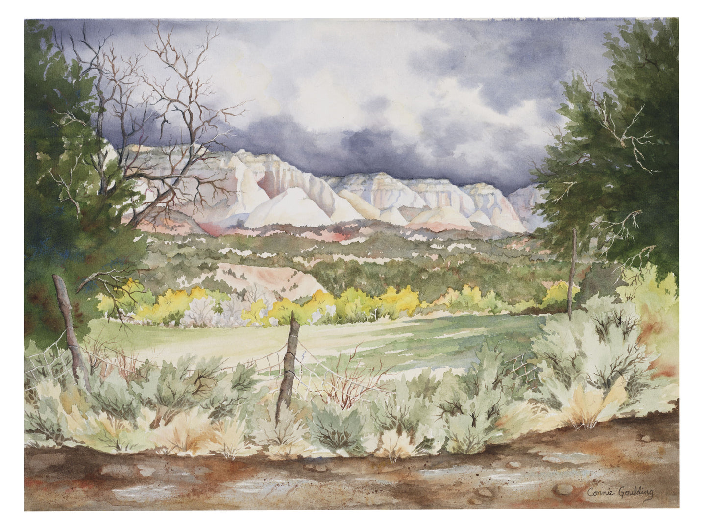 Cliffs - Framed canvas